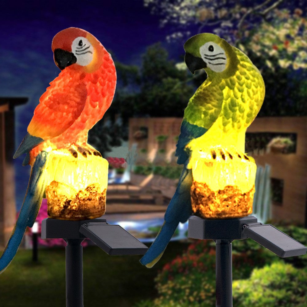 Feathered Friends