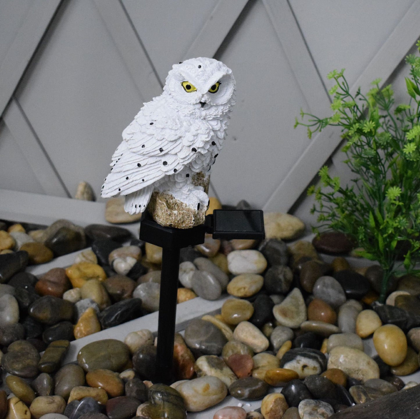 Owl Solar Light